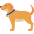 Animals & Pets