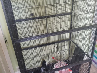 large-rat-cage-and-accessories