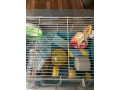 hamster-cage-extras-small-3