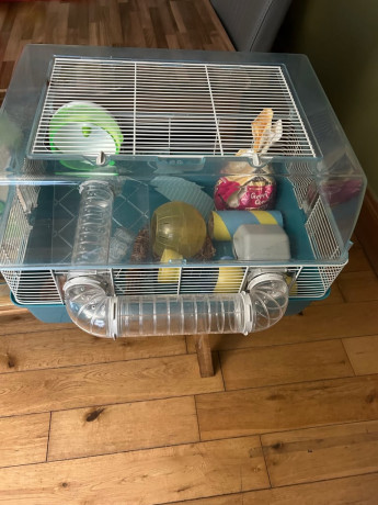 hamster-cage-extras-big-1
