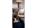 cat-tower-free-small-0