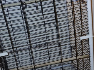 birds-cage