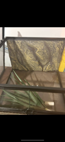 vivarium-with-full-accessories-big-2