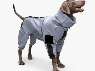 waterproof-all-in-one-dog-jackets