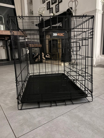 small-dog-crate-big-1