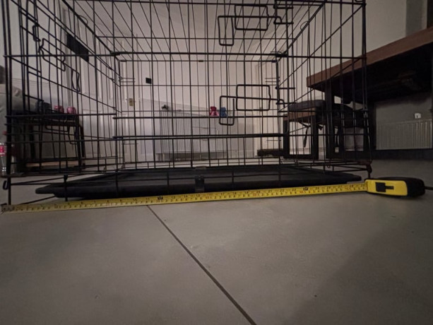 small-dog-crate-big-2