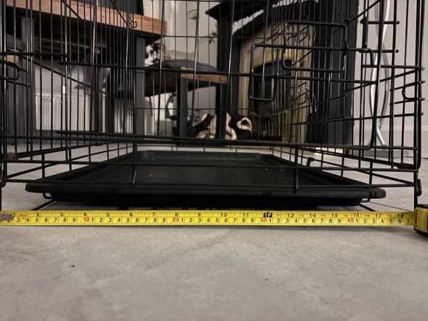 small-dog-crate-big-3