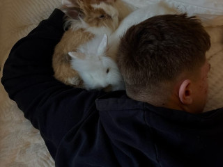 two-friendly-rabbits-pencageaccessories