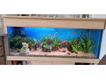 full-aquarium-and-stand-small-0
