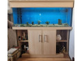 full-aquarium-and-stand-small-2