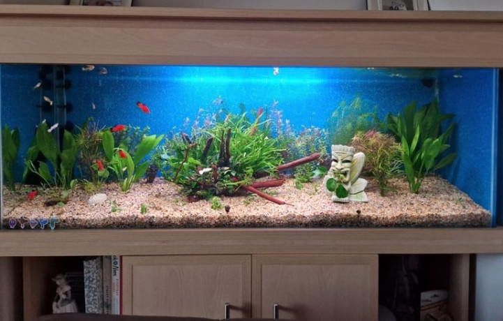 full-aquarium-and-stand-big-1