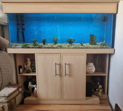 full-aquarium-and-stand-big-3
