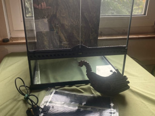 exo-terra-45-x-45-x-45-terrarium-vivarium-reptile-amphibian-background-heat-mat