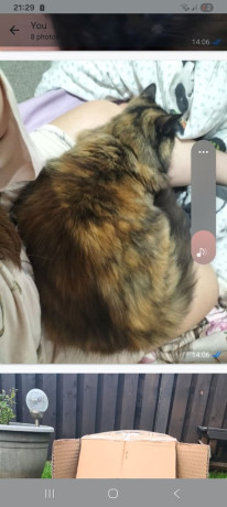 stolen-from-hu7-5dr-reward-big-1