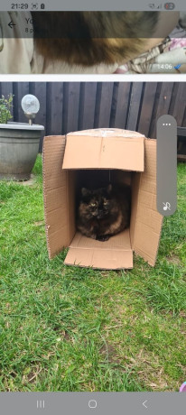 stolen-from-hu7-5dr-reward-big-2