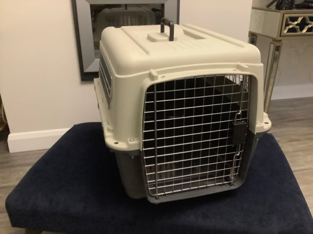 great-pet-carrier-like-new-cost-ps110-big-0