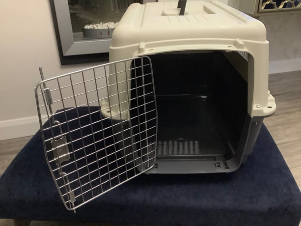 great-pet-carrier-like-new-cost-ps110-big-1