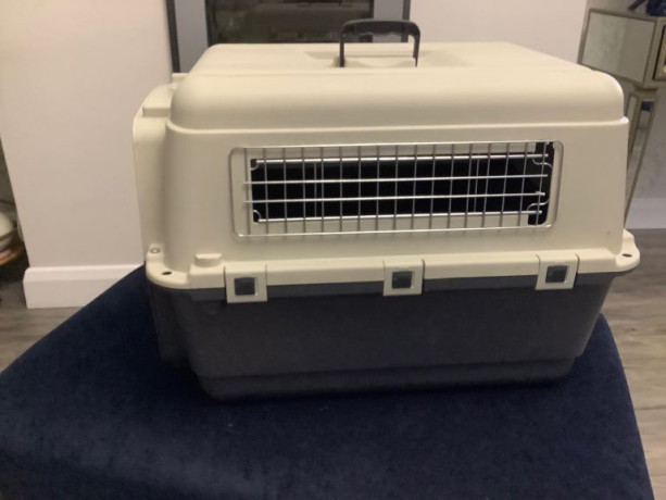 great-pet-carrier-like-new-cost-ps110-big-2