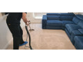 gmz-certified-proffesional-carpet-small-1