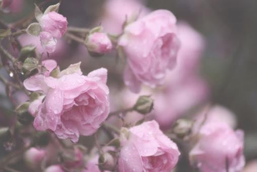 great-iranianenglishindianbrazilian-arabiceuropean-massage-from-herbalckinic-big-2