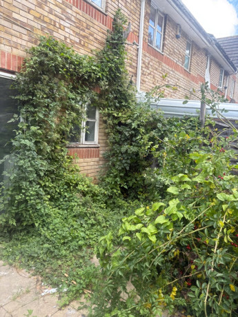 fencing-timber-reclaim-djz-big-2