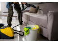 cleaning-ironing-services-regular-domestic-cleaning-small-3