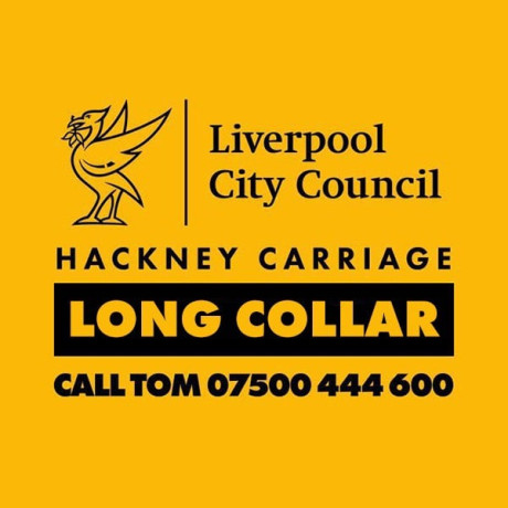 local-ridesairport-ridesschool-drop-offs-big-1