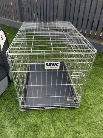 puppy-small-dog-items-various-big-2