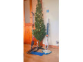 top-rated-cleaning-services-homes-offices-spotless-small-4
