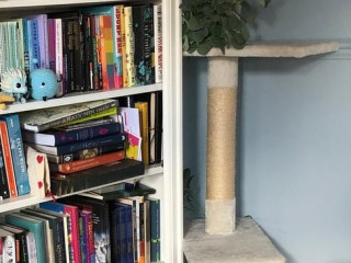 cream-cat-tree-tension-rod