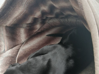 collared-creatures-luxury-deluxe-comfort-cocoon-dog-bed-extra-large-125cm-beige