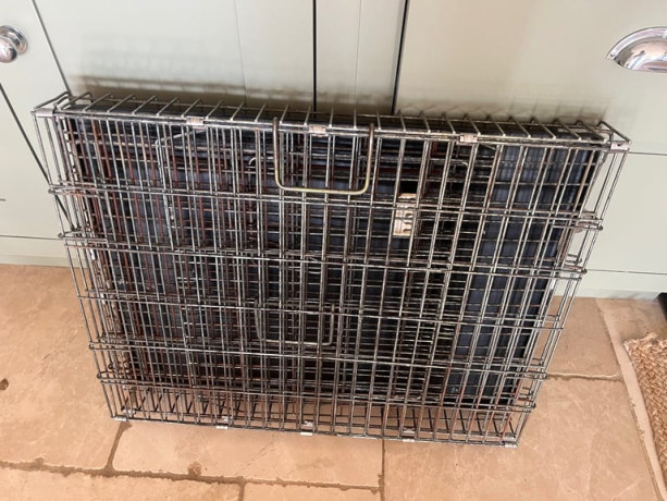 puppydog-crate-big-2