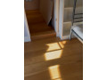 domestic-cleaner-deep-cleaning-end-of-tenancy-cleaner-small-1