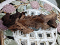 cornish-oak-driftwood-bogwood-aquarium-fish-tank-wood-small-0