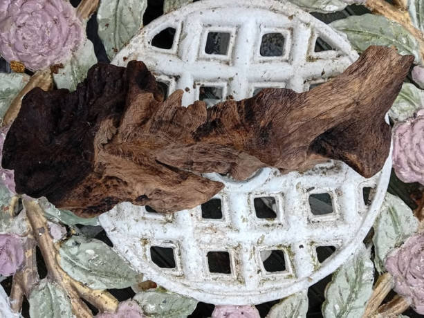 cornish-oak-driftwood-bogwood-aquarium-fish-tank-wood-big-1