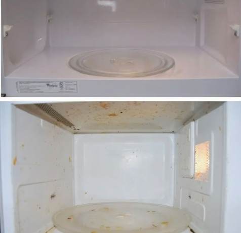 domestic-cleaning-upholstery-commercial-cleaner-deep-regular-clean-big-2