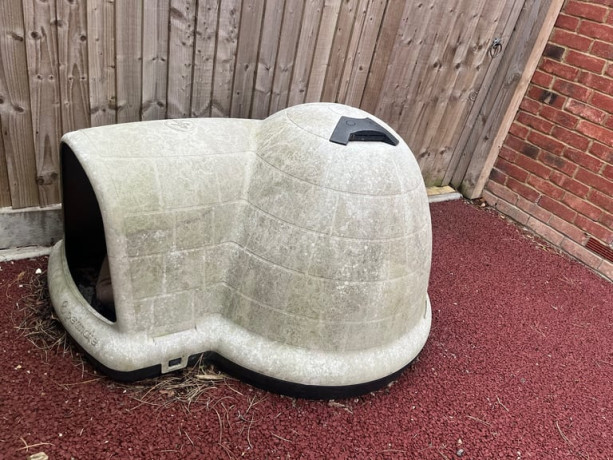 igloo-dogs-home-free-big-1