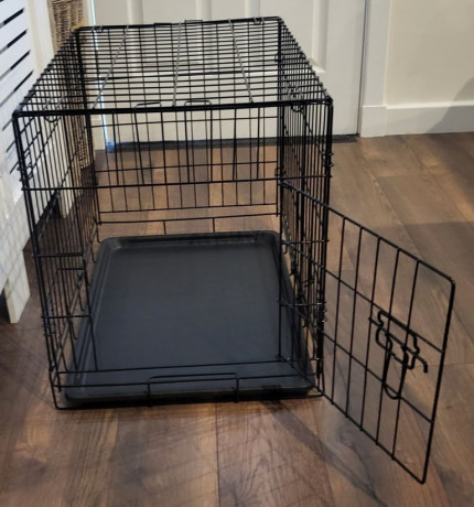 dog-cage-big-1