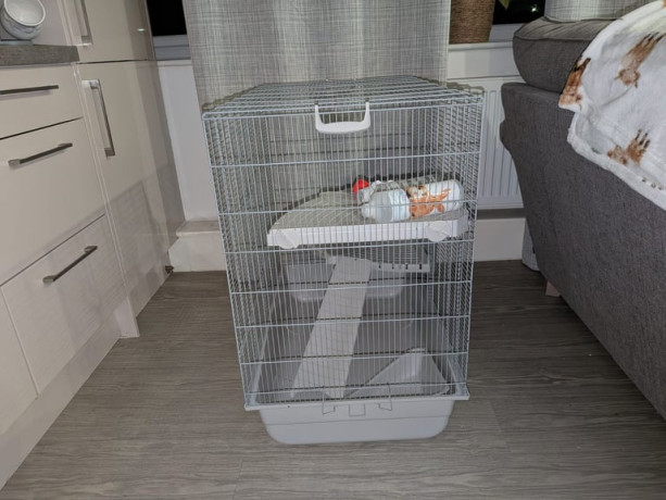 diy-pet-playpen-metal-wire-fence-24-panels-enclosure-indoor-outdoor-big-3