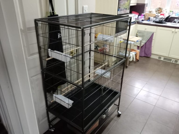 bird-cage-brand-new-big-0