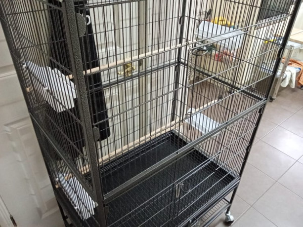 bird-cage-brand-new-big-1