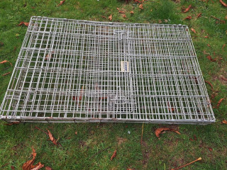 dog-crate-large