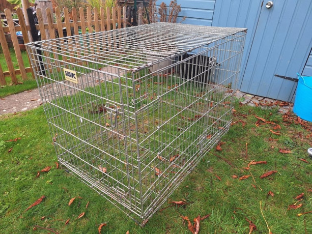 dog-crate-large-big-2