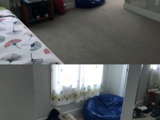 domestic-commercial-cleaner-cleaning-reasonable-rates