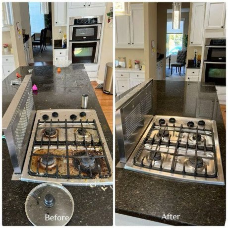 domestic-commercial-cleaner-cleaning-reasonable-rates-big-1