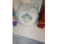 cat-bed-small-0