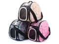 cats-and-dogs-go-out-portable-breathable-foldable-eva-pet-bag-small-0