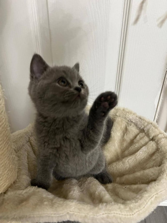 two-boys-and-one-girl-left-big-3