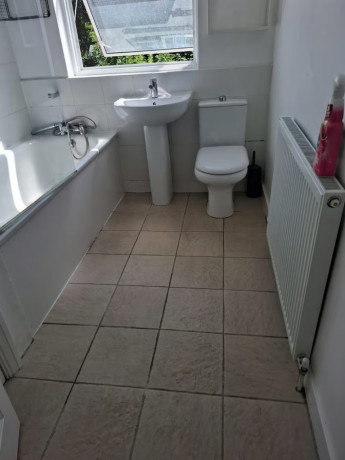 domestic-commercial-cleaner-reasonable-rates-regular-deep-cleaning-service-big-1