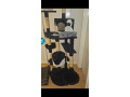 large-cat-tree-small-0